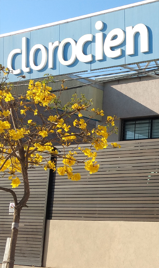 Clorocien